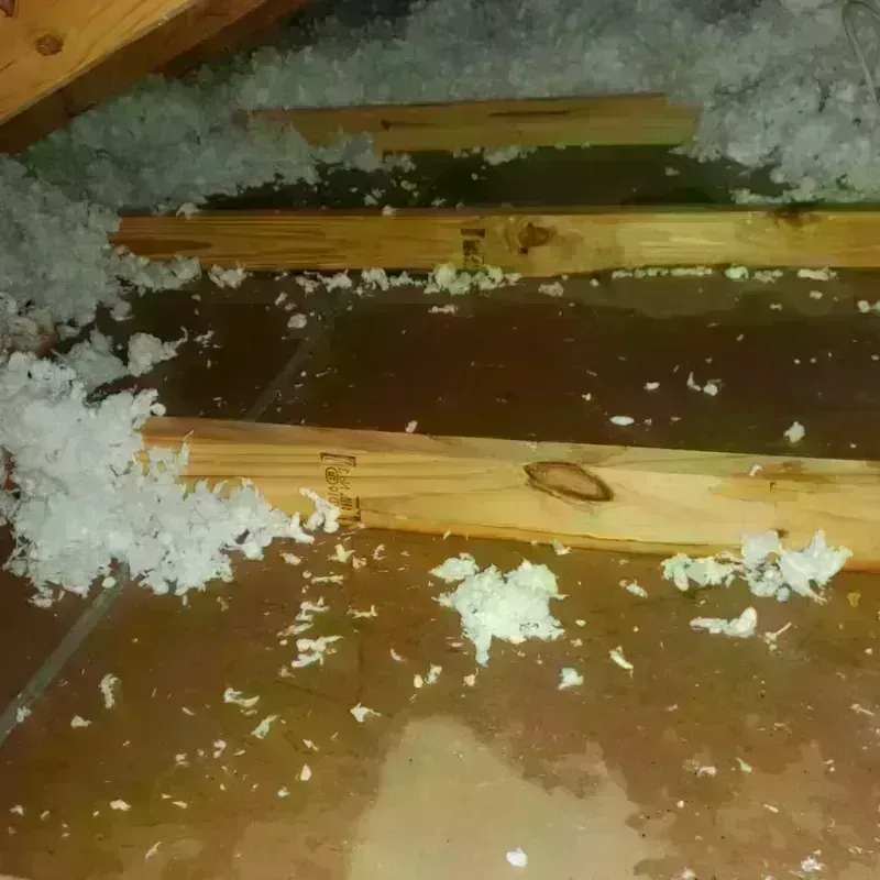 Attic Water Damage in Village Shires, PA